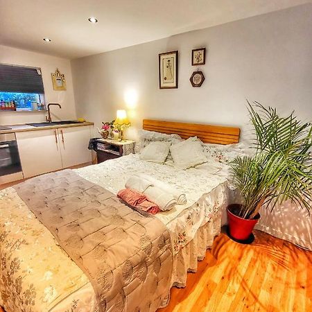 רדינג The Apple And Plum Cottage Studio Apartment New מראה חיצוני תמונה