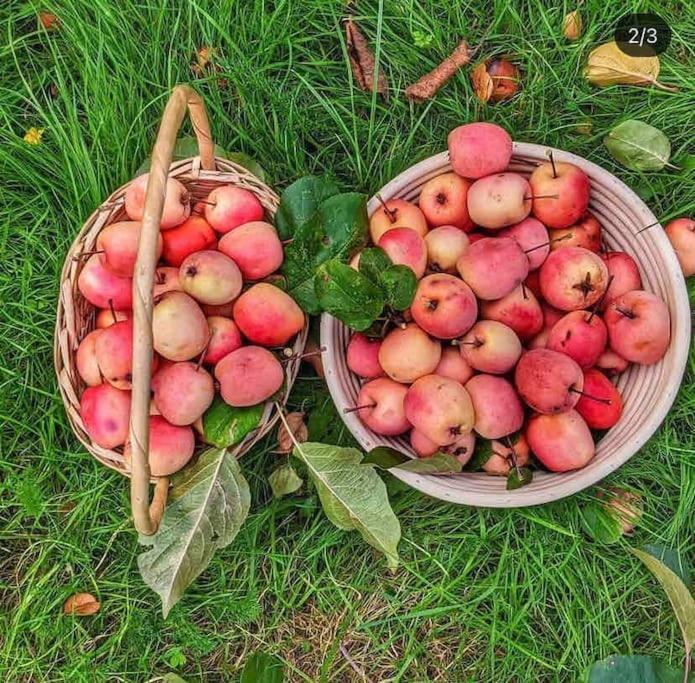 רדינג The Apple And Plum Cottage Studio Apartment New מראה חיצוני תמונה
