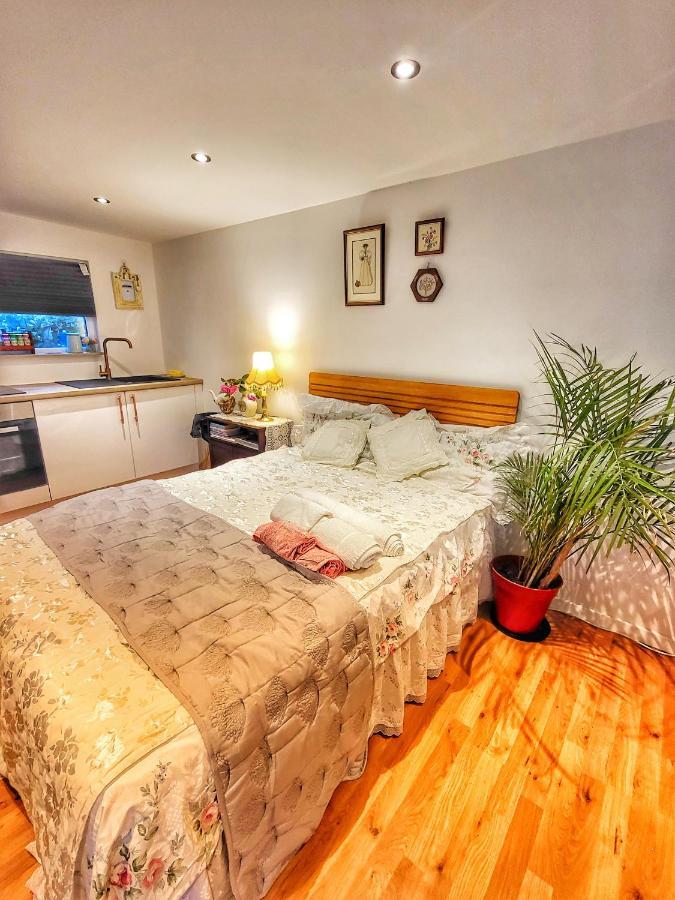 רדינג The Apple And Plum Cottage Studio Apartment New מראה חיצוני תמונה