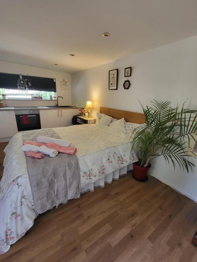 רדינג The Apple And Plum Cottage Studio Apartment New מראה חיצוני תמונה