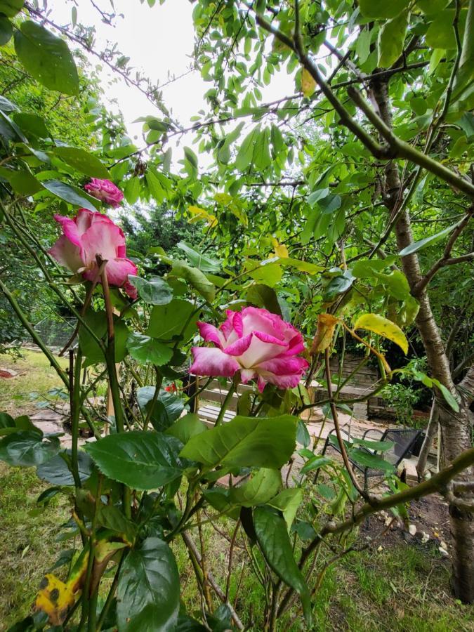 רדינג The Apple And Plum Cottage Studio Apartment New מראה חיצוני תמונה